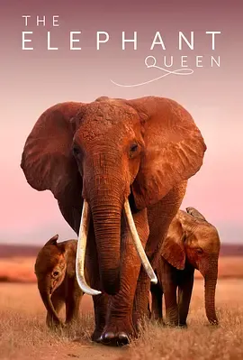 [大象女王]海报