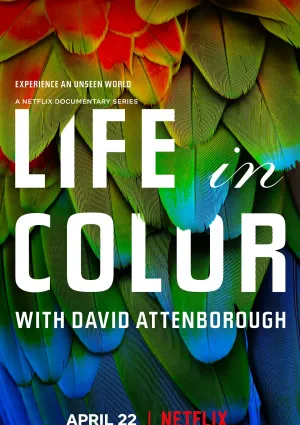 纪录片生命之色 / 大卫·艾登堡：自然本色 / Life in Color with David Attenborough的封面